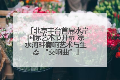 北京丰台首届水岸国际艺术节开幕 凉水河畔奏响艺术与生态 “交响曲”